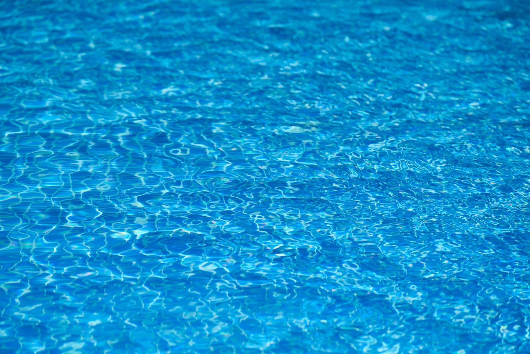A sparkling backyard swimming pool